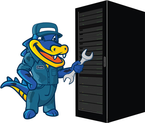 Hostgator Product