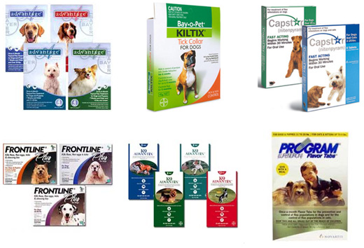 Pet Care Supplies Product
