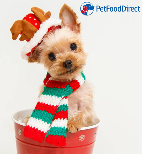 Pet Food Direct Logo