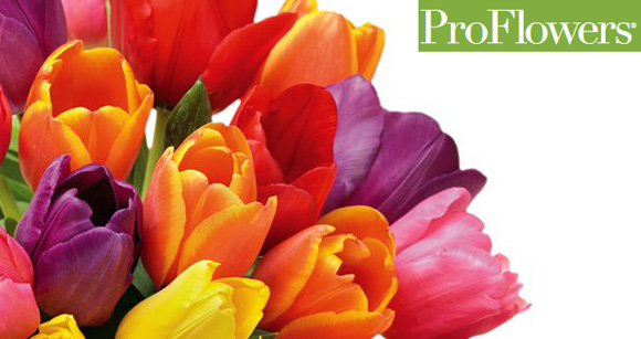 ProFlowers Logo