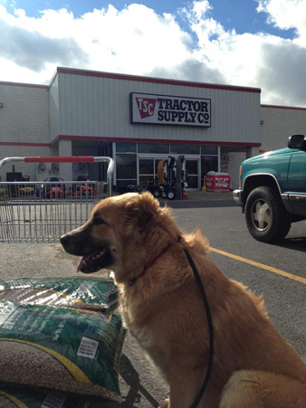 Tractor Supply Company Store