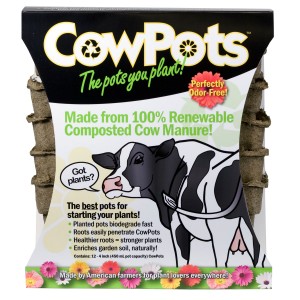 cow-pot-1