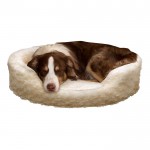 pet-bed-11