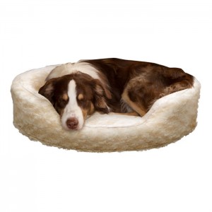 pet-bed-11