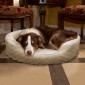 pet-bed-3