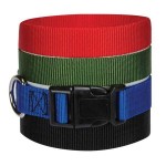 pet-belt-1