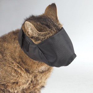 pet-mask-1