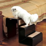 pet-step-with-sisal-rug-1