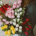 What flowers to give to a man and their meaning feature image